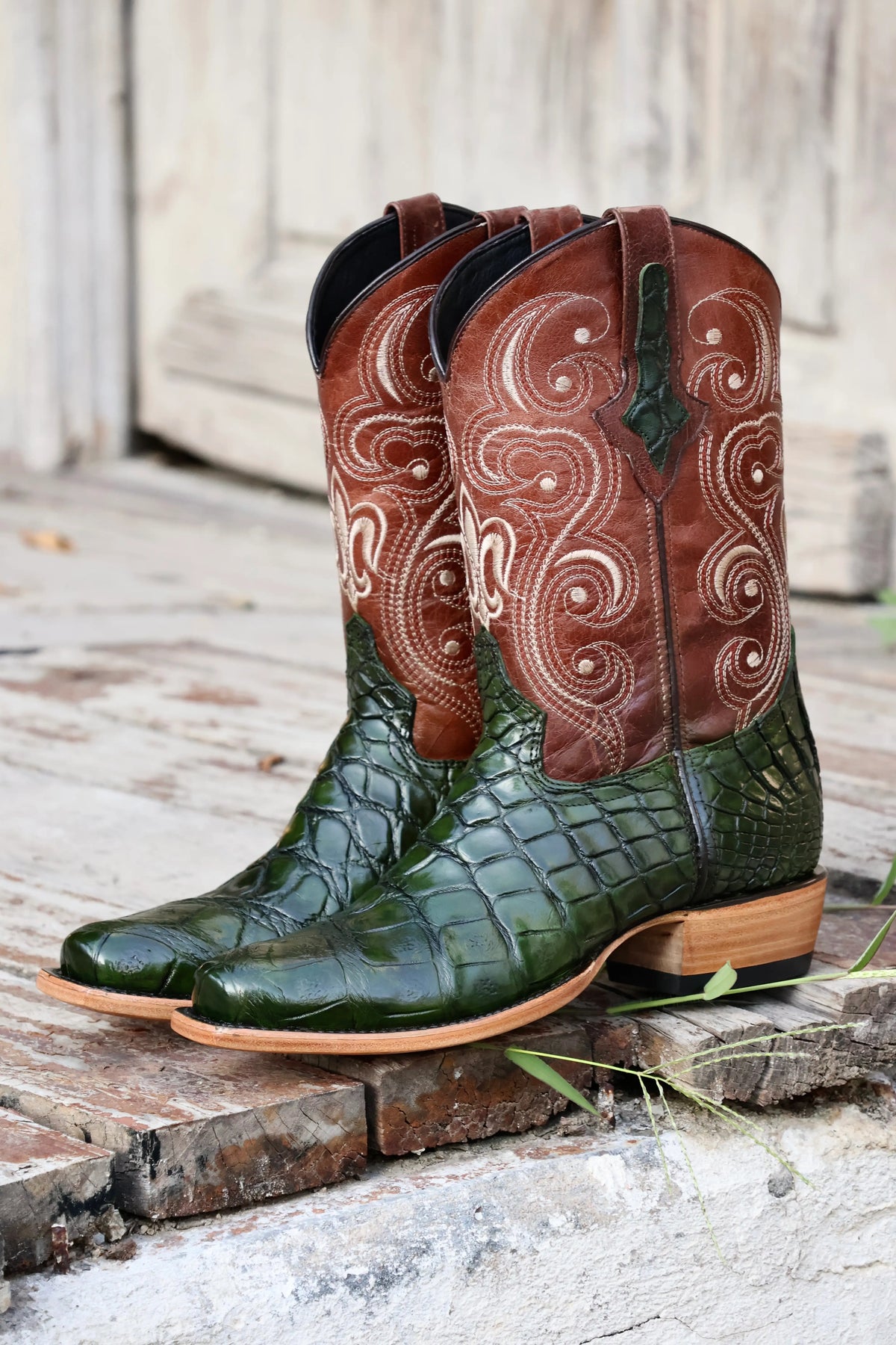 Cowboy Nevada Cocodrilo Alligator Verde