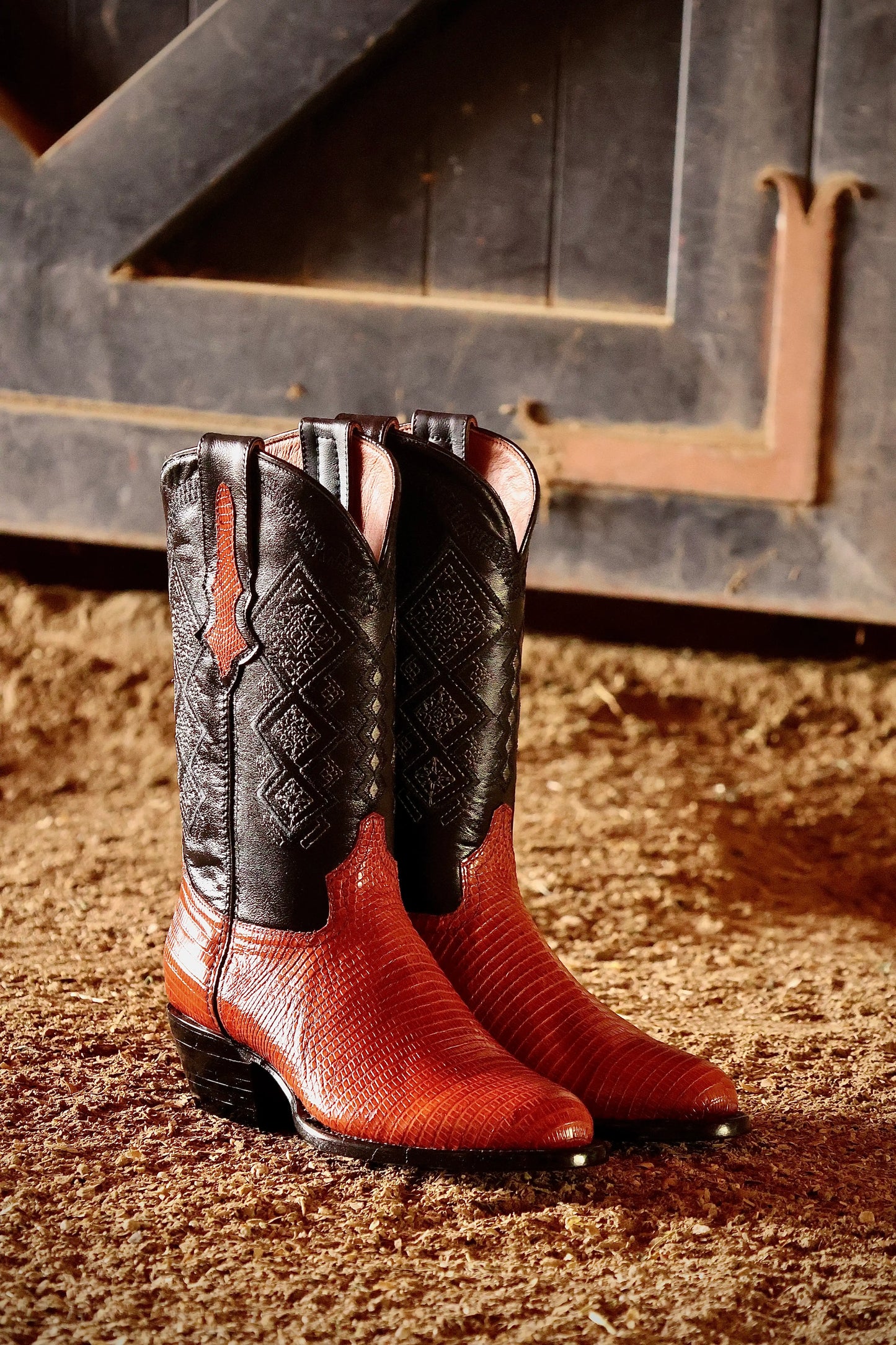 Cowboy Oval Lizard Miel