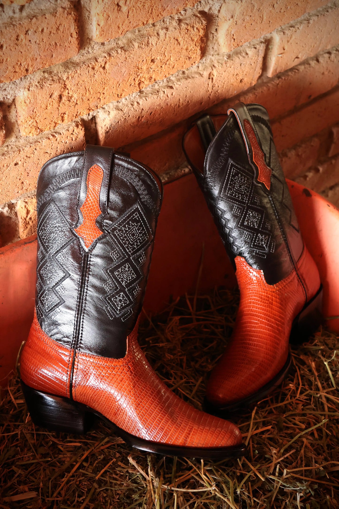 Cowboy Oval Lizard Miel