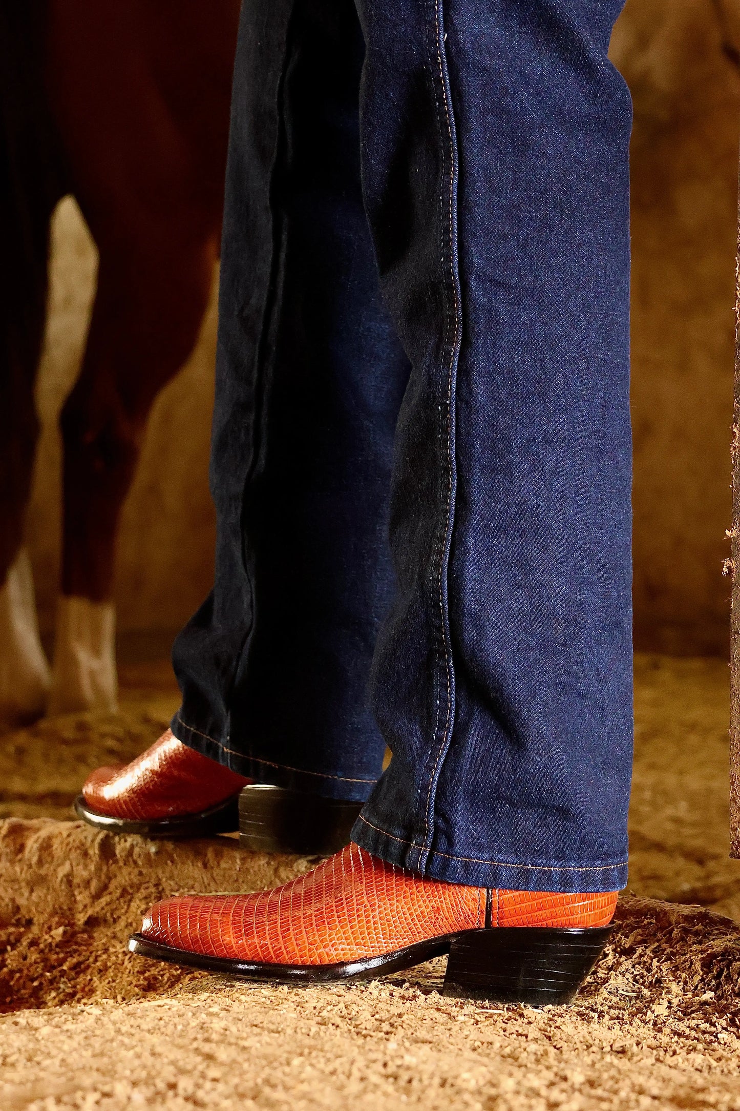 Cowboy Oval Lizard Miel