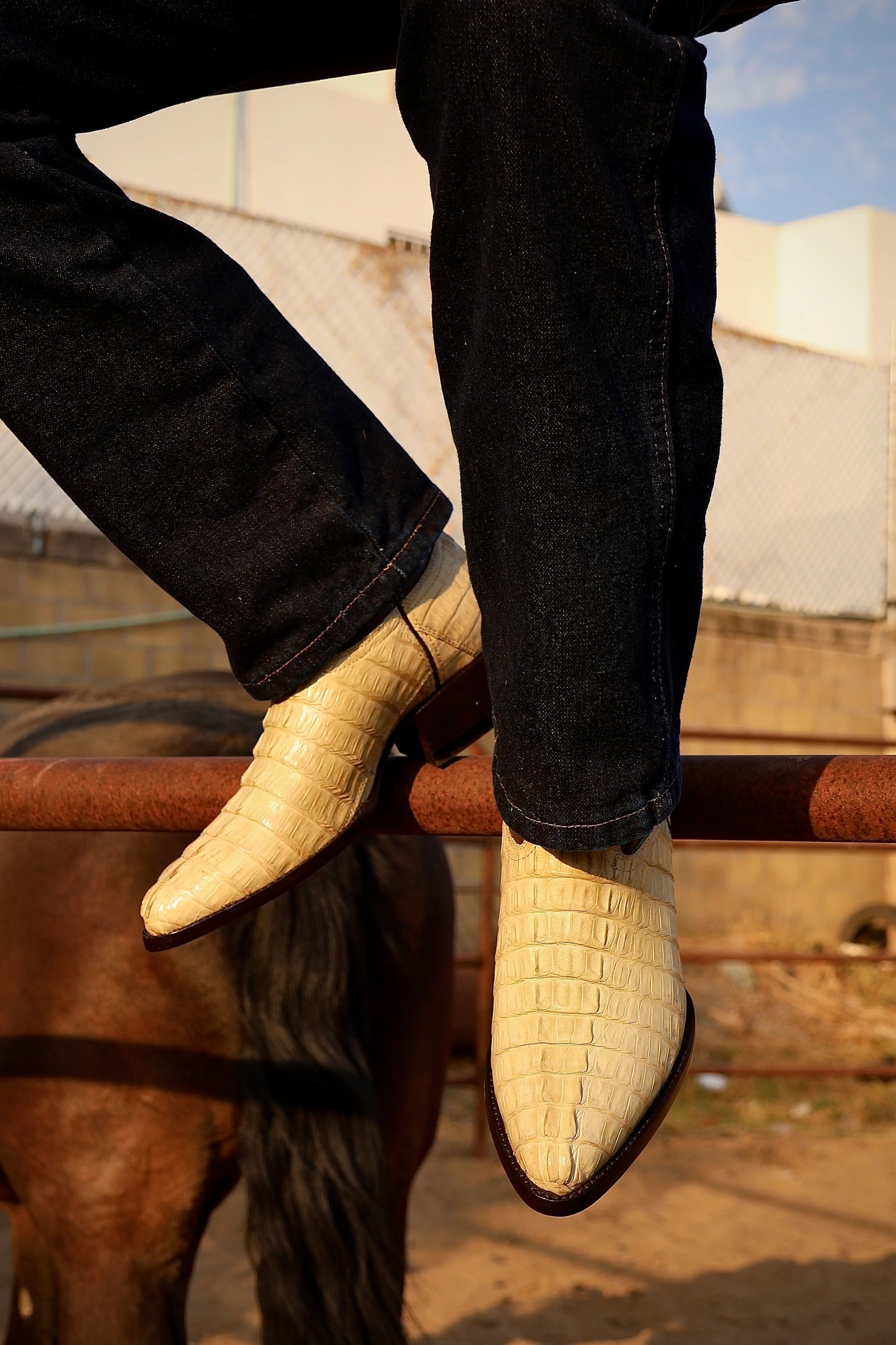 Cowboy Oval Clásica Cola Cocodrilo Hueso