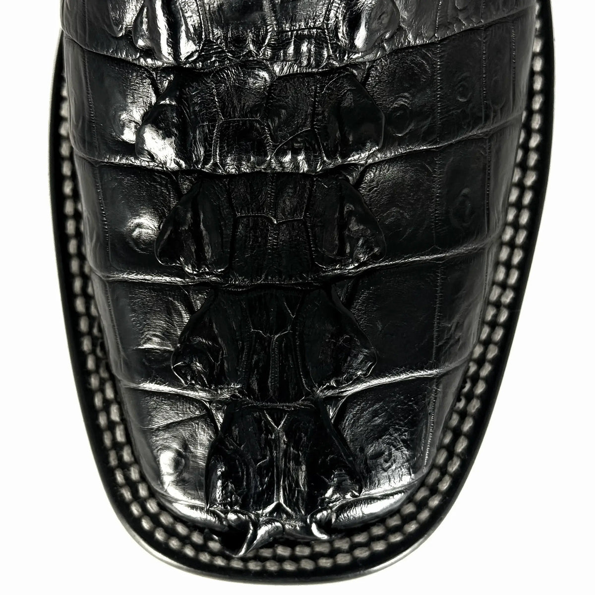 Cowboy Bulldog Cola de Cocodrilo Niloticus Negro