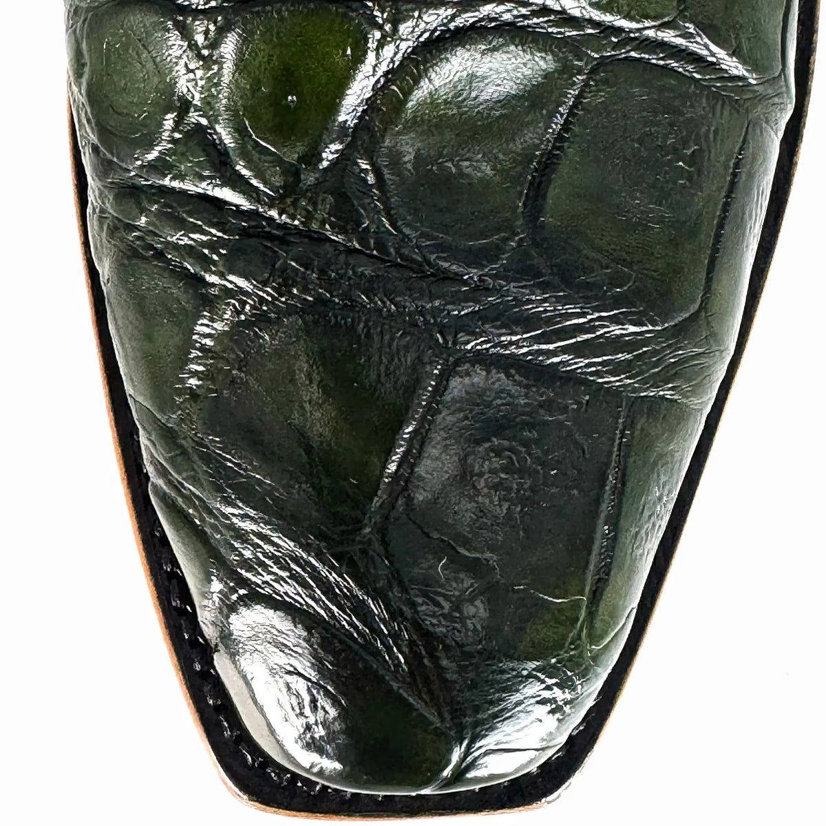 Cowboy Nevada Cocodrilo Alligator Verde