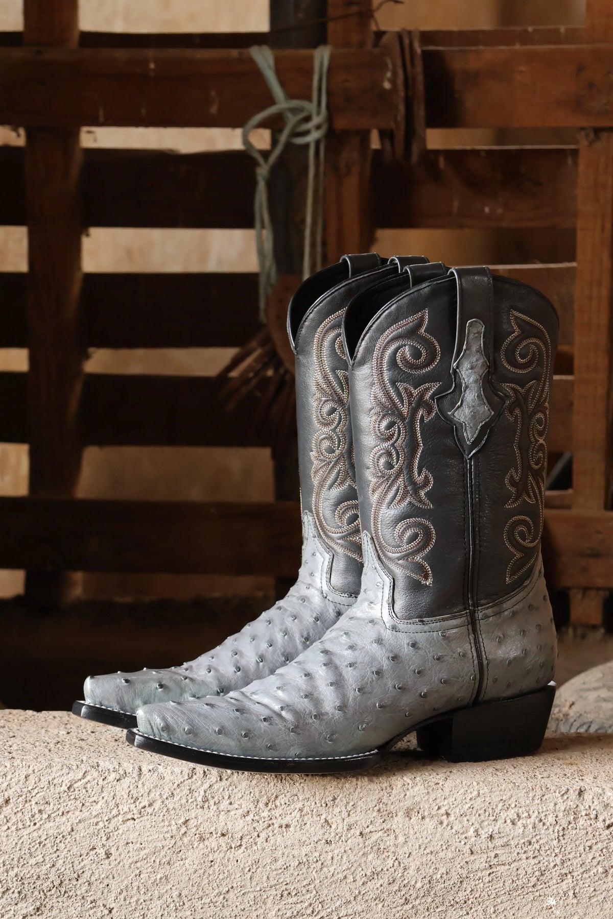 Cowboy Texana Avestruz Gris