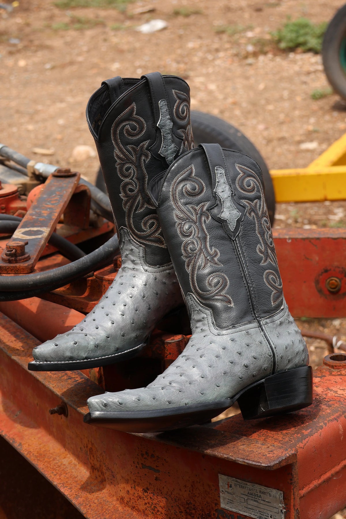 Cowboy Texana Avestruz Gris
