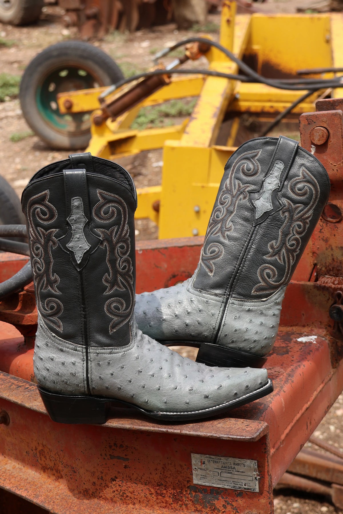 Cowboy Texana Avestruz Gris
