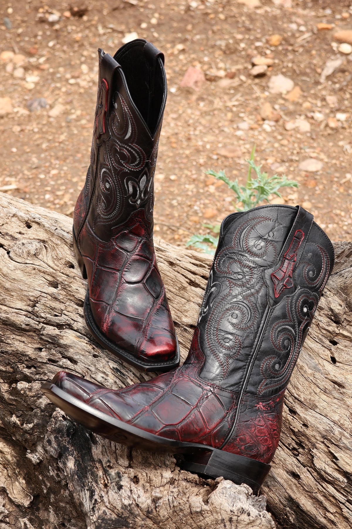 Cowboy Nevada Cocodrilo Alligator Black Cherry