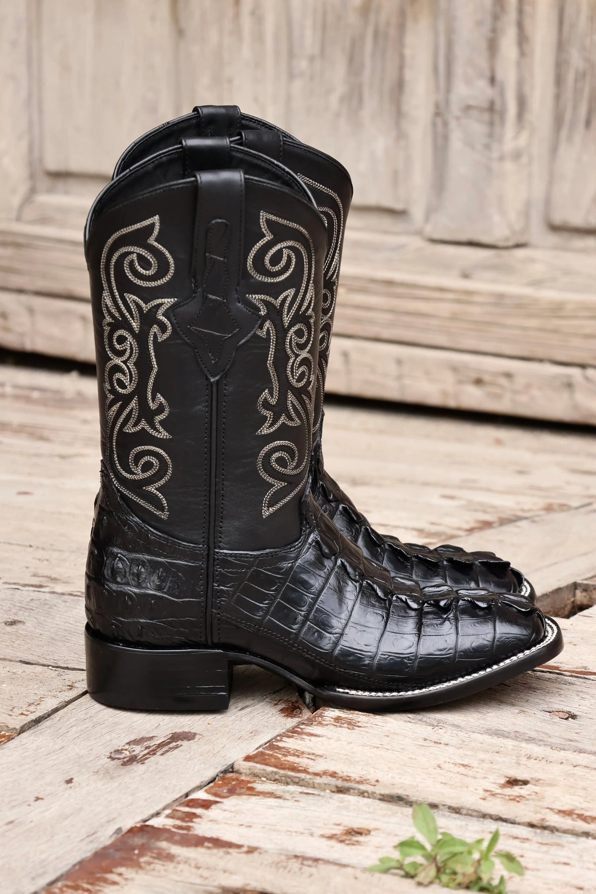 Cowboy Bulldog Cola de Cocodrilo Niloticus Negro