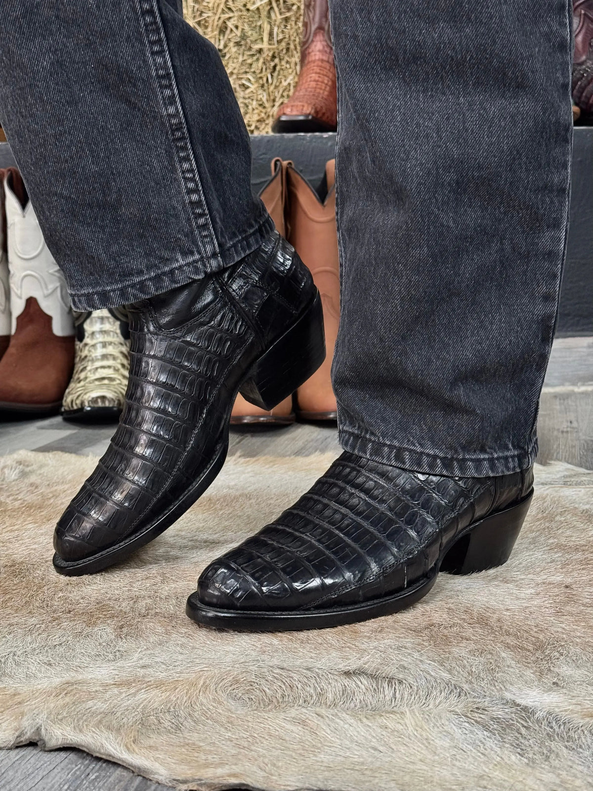 Cowboy Oval Cocodrilo Fuscus Negro