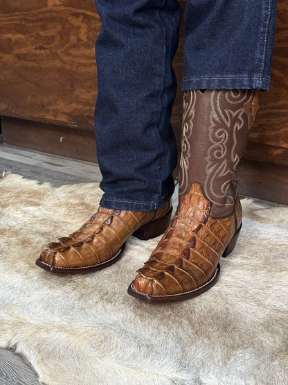Cowboy Nevada Cola de Cocodrilo Niloticus Miel
