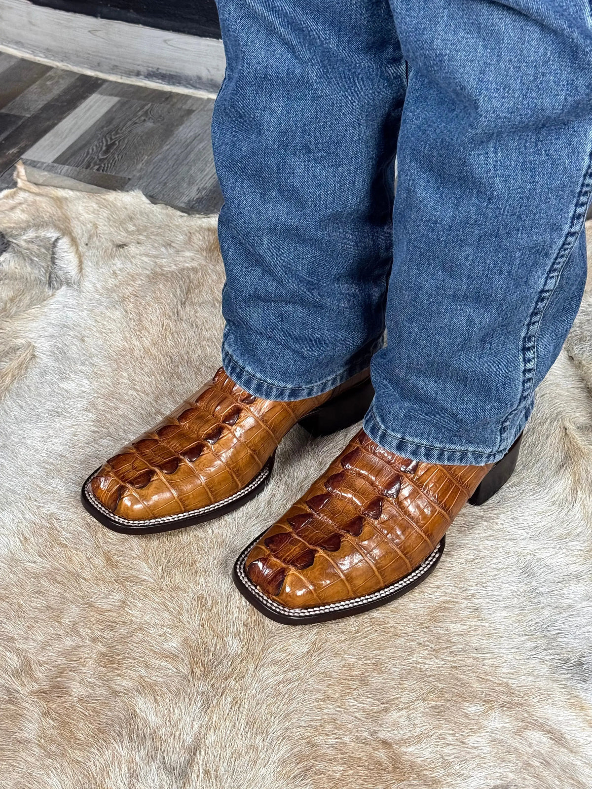 Cowboy Bulldog Cola de Cocodrilo Niloticus Miel