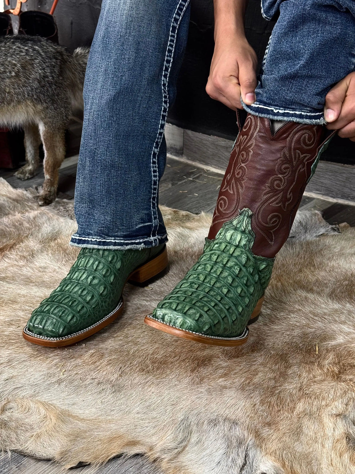 Cowboy Bulldog Lomo Cocodrilo Alligator Verde