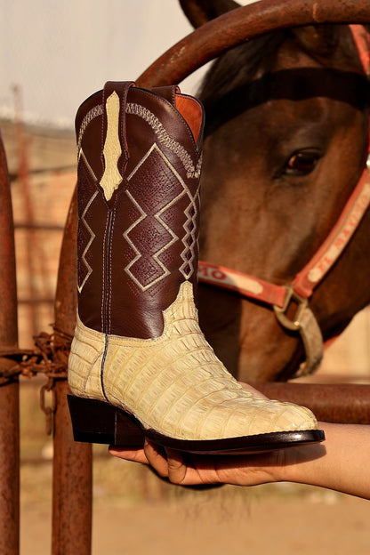 Cowboy Oval Clásica Cola Cocodrilo Hueso