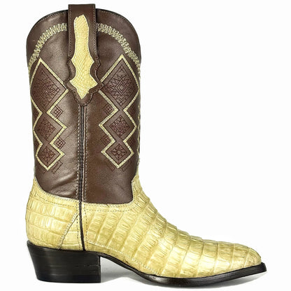 Cowboy Oval Clásica Cola Cocodrilo Hueso
