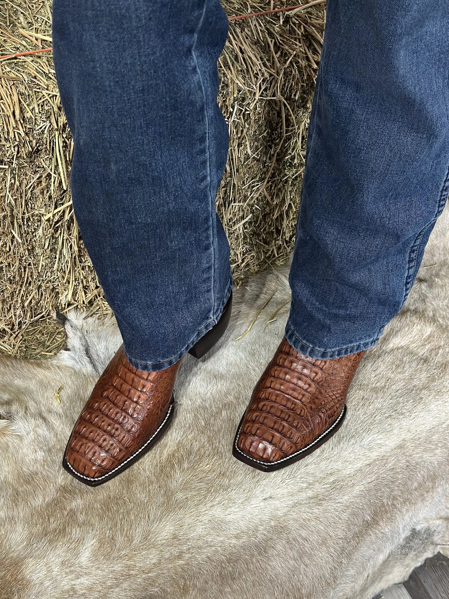 Cowboy Francesa Cocodrilo Cognac
